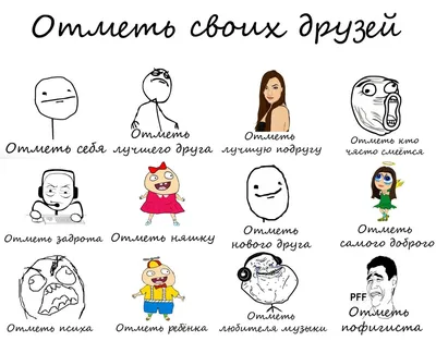 Жестокая лотерея: в Гродно закрывается контактный зоопарк, животных  разыграют посредством Instagram - 