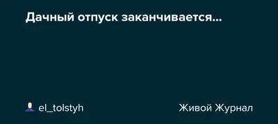 Любой отпуск - даже самый приятный - рано или поздно заканчивается. Но  даже… | Тайган | Дзен