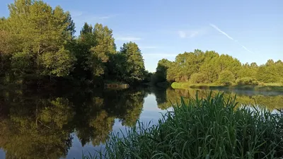 Онлайн пазл «Отражение гор в воде»