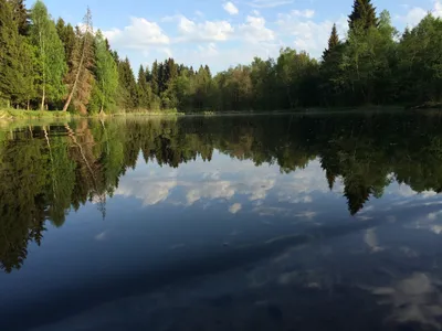 Фото Девочка смотрит на свое отражение в воде