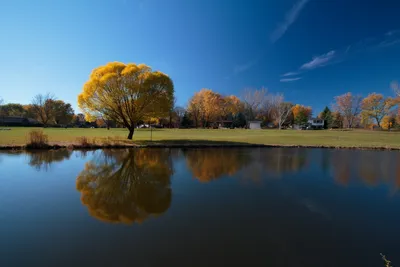 Лодки. Отражения. Вода