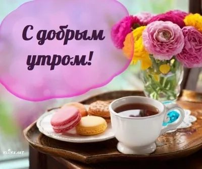 ДОБРОЕ УТРО! 🌺🌷😉💐😘🌿😋🌷🌺 Улыбнись, и весь мир улыбнется тебе в ответ!  🌞 | Доброе утро, Кофейные карточки, Утренние сообщения