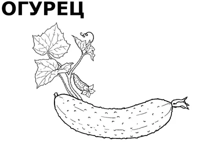 Рекомендации учителя-дефектолога, тема "Овощи - Фрукты". Новости 7  "Пчёлки". Детский сад № 105 г. Гродно