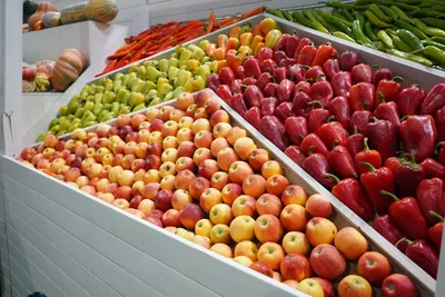 Неделя популяризации потребления овощей и фруктов началась в Магадане -  MagadanMedia