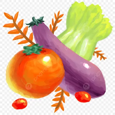 Кто бы знал что рисунки овощей и фруктов в разрезе могут быть такими  красивыми - 