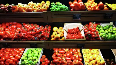 Производители овощей получат субсидии на агротехнологические работы –  Агроинвестор