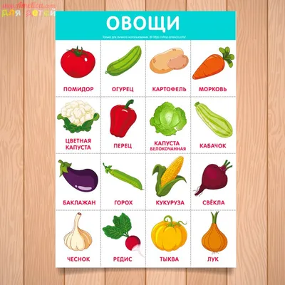 Обучающий плакат овощи для детского сада скачать для печати | Овощи, Детский  сад, Овощи для детей