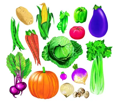 Полезные продукты - овощи, фрукты, ягоды!. Государственное учреждение  образования "Детский сад №69 г.Бобруйска"