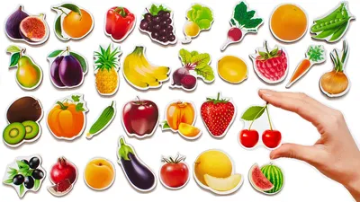 Овощи фрукты ягоды для детей | Овощи, Ягоды, Для детей