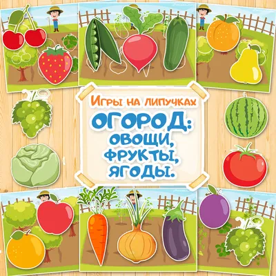 Какие крымские фрукты, ягоды и овощи продаются сегодня на рынке Феодосии и  сколько они стоят | Дневник отчаянных пенсионеров | Дзен