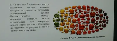 В фруктах много сахара и других углеводов. Стоит ли сокращать их  употребление? — читать на 