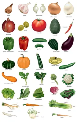 Овощи» на английском языке