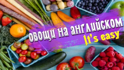 Карточки для изучения английского языка на тему "Овощи и крупы": 40 грн. -  Книги / журналы Славянск на Olx