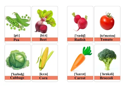 Лексика. Урок 6. Названия овощей на английском языке. Часть I. Vegetable  names in English. Part I | English for Everyone | Дзен