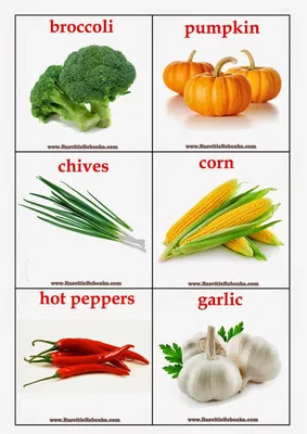 Учим английский. Овощи. Vegetables. Учим название овощей на английском.  Часть 1. - YouTube