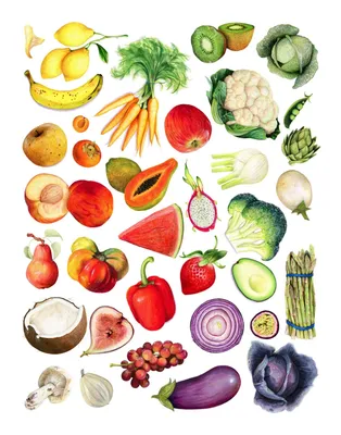Овощи нарисованные 38 картинок