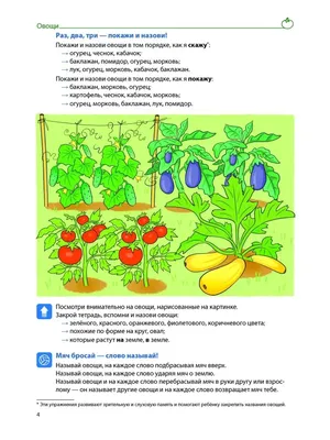 Дидактические карточки "Овощи" - Межрегиональный Центр «Глобус»