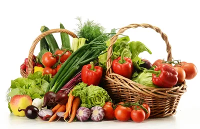 Холодостойкие овощные культуры. Какие высевать первыми… - посадка, уход,  фото, как вырастить и собрать урожай - «Блог Флориум.юа» 2024