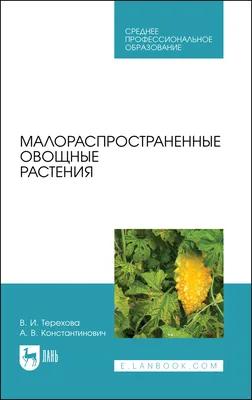 Щавель Бельвильский 5 г Leda Agro Овощные растения Семена (Щавель  Бельвильский Овощные растения Семена) (ID#1095666871), цена: 27 ₴, купить  на 