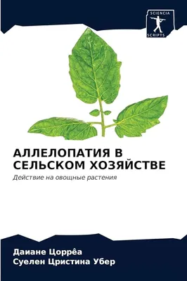 Пряно-вкусовые овощные культуры: новости, осадки, сад, огород, сад и огород