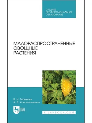 Какие овощные растения высевают летом, во второй половине июня и позже?  ::Выксунский рабочий