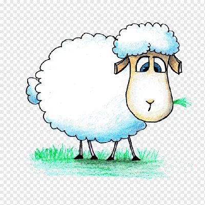 Овца картинки для детей - 54 фото
