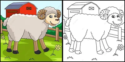 Фигурка животного Derri Animals Овца, для детей, игрушка коллекционная  декоративная, 81458, 9х6,5х4 см - купить с доставкой по выгодным ценам в  интернет-магазине OZON (676440750)