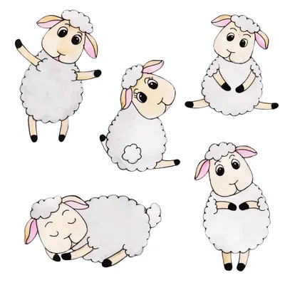 Раскраска овечка, овца для детей 4, 5, 6, 7, 8 лет: 30 разукрашек  распечатать