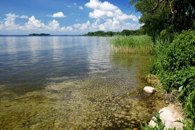 Релакс на озерах Нарочи