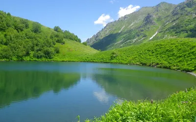 Каракольские озера в горном Алтае: как добраться, на карте, фото, экскурсия  из Чемала, база отдыха, турбаза