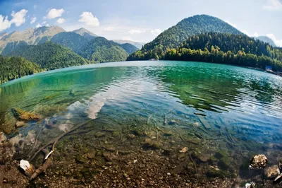 Озеро Рица, Абхазия - Абхазия отдых цены 2024 г.