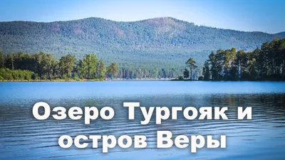 Вода цветет и пахнет: озеро Тургояк в Челябинской области покрылось зеленой  пленкой