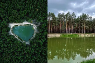 Весна на озере в лесу. Photographer Aleksandr Berezutskiy