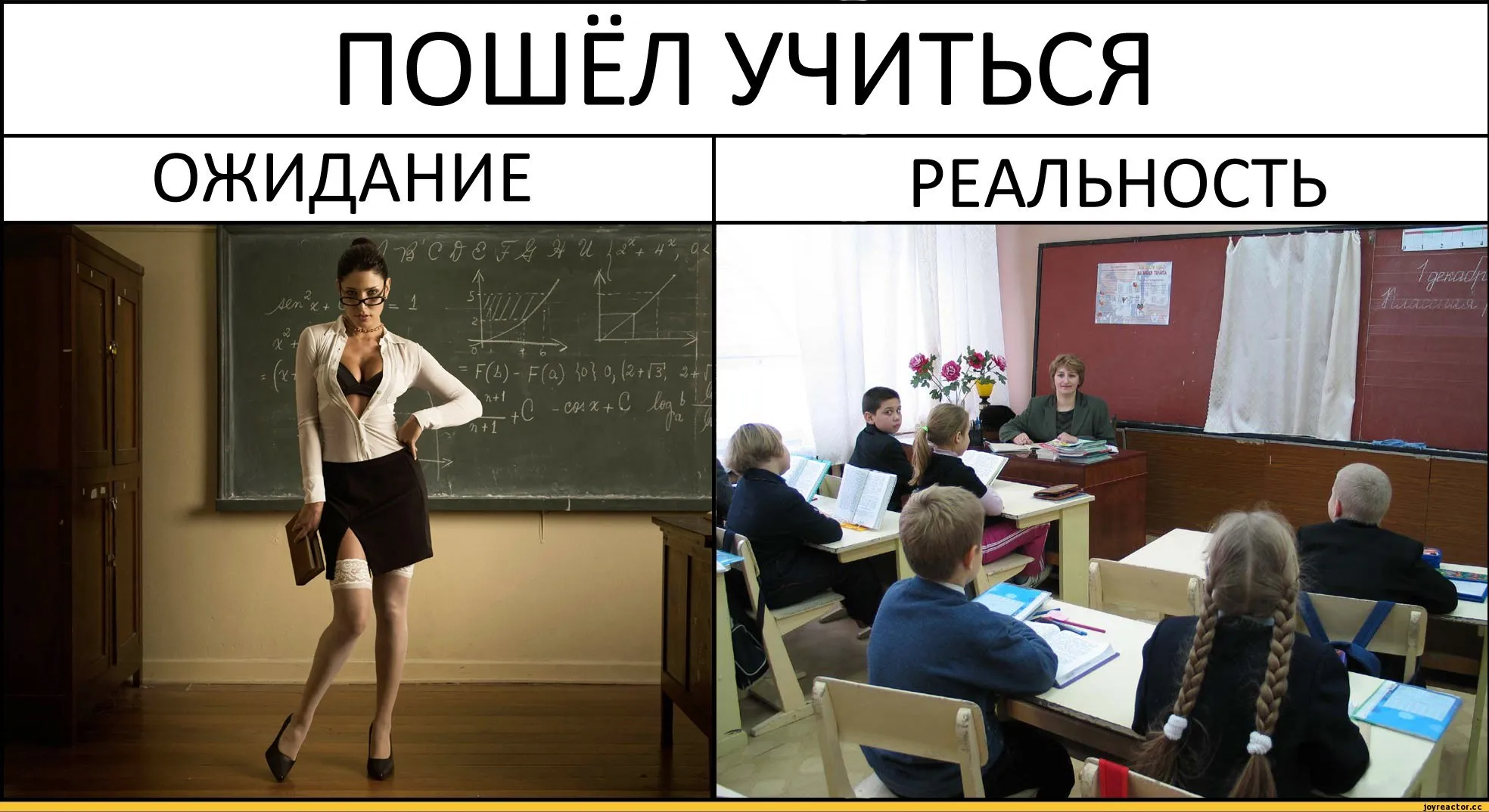 Поступала в колледж а окончила шарагу. Училки в школе ожидание реальность. Приколы про школу и учителей. Учительница прикол. Учитель ожидание реальность.