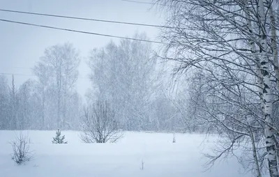 Добавляем оригинальности фото в Инстаграм в виде падающего снега |  Приложения и статьи для эффективной работы в интернете | Дзен