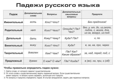 Учебный плакат "Падежи": Формат А4 - отзывы покупателей на маркетплейсе  Мегамаркет | Артикул: 100025988270