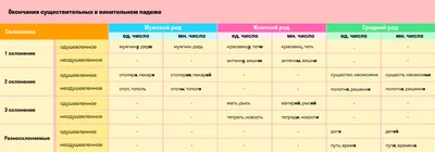 Экспериментальное исследование освоения русских падежей детьми-билингвами в  Финляндии – тема научной статьи по языкознанию и литературоведению читайте  бесплатно текст научно-исследовательской работы в электронной библиотеке  КиберЛенинка