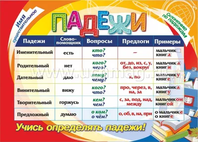 Плакат Падежи, русский язык, обучающий ТМ Праздник 14930053 купить в  интернет-магазине Wildberries