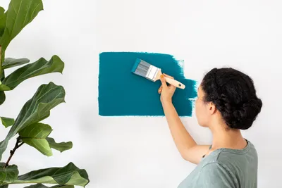 HDB | MNH – Do-It-Yourself: A Guide for Painting Your Dream Home