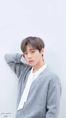 Wanna One Park Ji Hoon Wallpapers KPOP Fans HD (R Droid) APK для Android - Скачать бесплатно