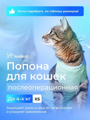 AniMall Попона для кошек послеоперационная до 4 кг