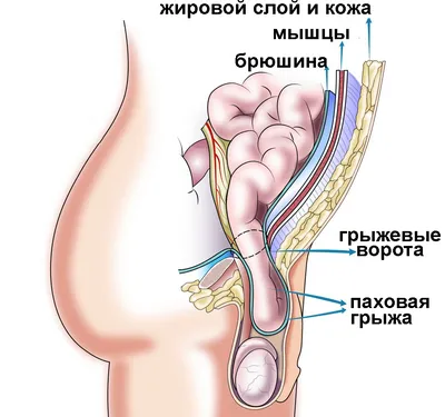 В Чувашии впервые отметили день чувашской вышивки | Алатырский  муниципальный округ Чувашской Республики