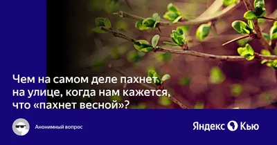 А счастье пахнет весной детализация …» — создано в Шедевруме