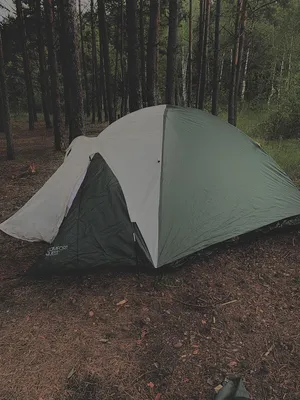 Палатки в лесу эстетика - 66 фото