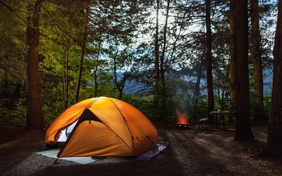 Ночую в лесу🌳Вокруг палатки кто-то бегает⛺Продолжение истории | Татьяна  Гордеева - походы и приключения | Дзен