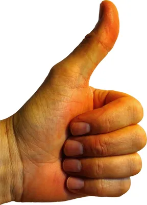 Больше 100 бесплатных иллюстраций на тему «Палец Вверх» и «»Рука - Pixabay
