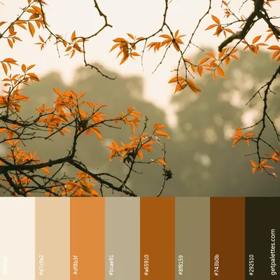 Цветовая палитра № 0006 | Color palettes for design. Палитры цвета для  дизайна.