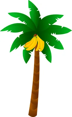 Рисунок пальма для детей - 51 фото