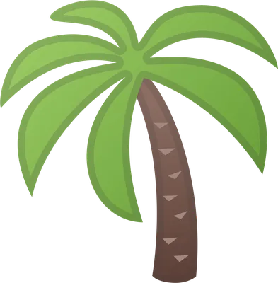 Поэтапное рисование пальмы для детей - 47 фото