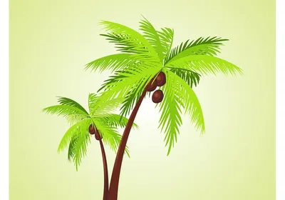 Южные моря. Пальмы. South Seas. Palms. PNG. | Palm tree clip art, Palm tree  drawing, Palm tree images